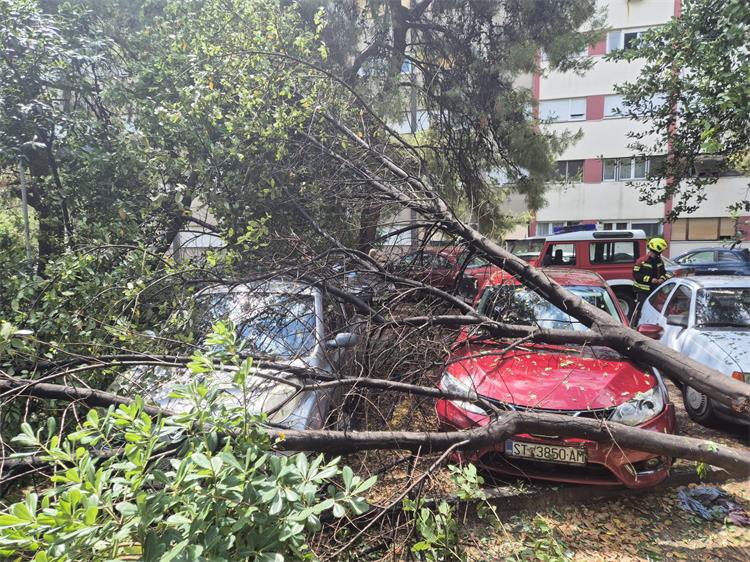 Slika /slike/Vijesti/1751977090010.jpg