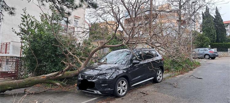 Slika /slike/Vijesti/470181486_122188581878243173_3972544043162714853_n.jpg