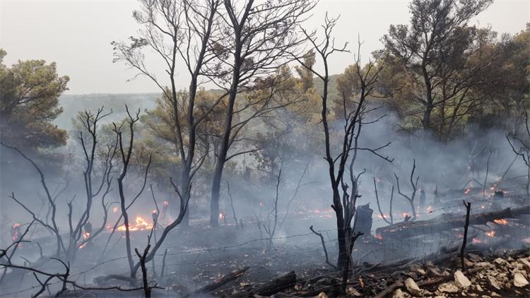 Slika /slike/Vijesti/HVZ-Brač-2.jpg