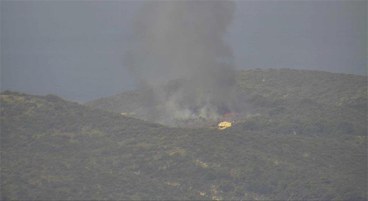 Slika /slike/palmizana.jpg